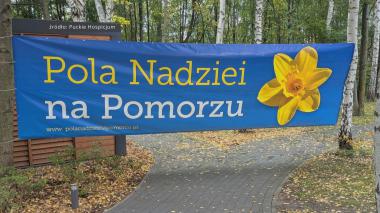 nazwa posta