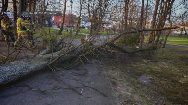 Prawie setka interwencji w związku z wichurą