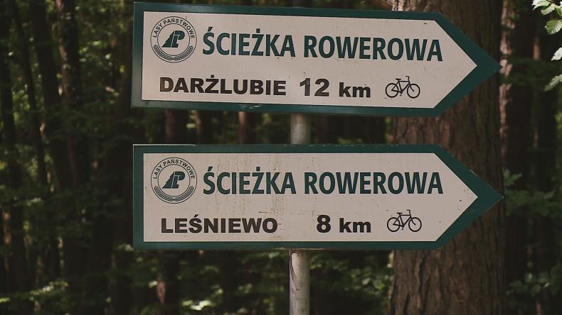 Lasy stają się centrami rekreacji