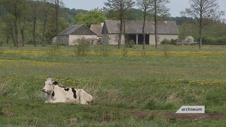 W Bożympolu dziękowali za plony