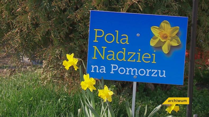 Pola Nadziei w tym roku wirtualnie