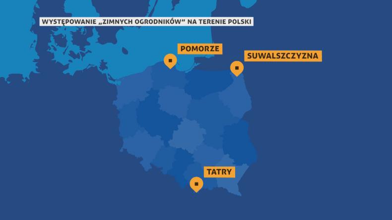 -2°C jeszcze dziś w nocy. Zimna Zośka daje o sobie znać.