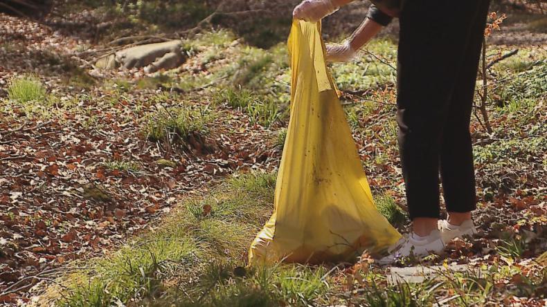 Wiosenne porządki z okazji Międzynarodowego Dnia Ziemi