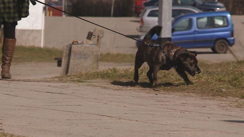 Walka z odchodami jak z wiatrakami?