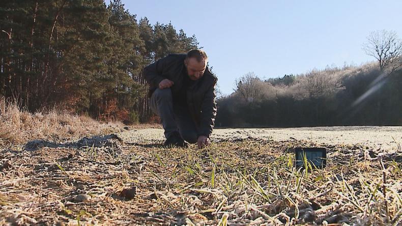 Ciepła zima nie oszczędza rolników