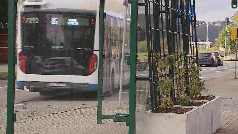 Rumskie przystanki się zazielenią
