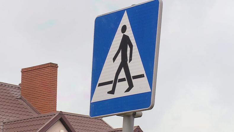 Problem z pasami – wójt każe czekać