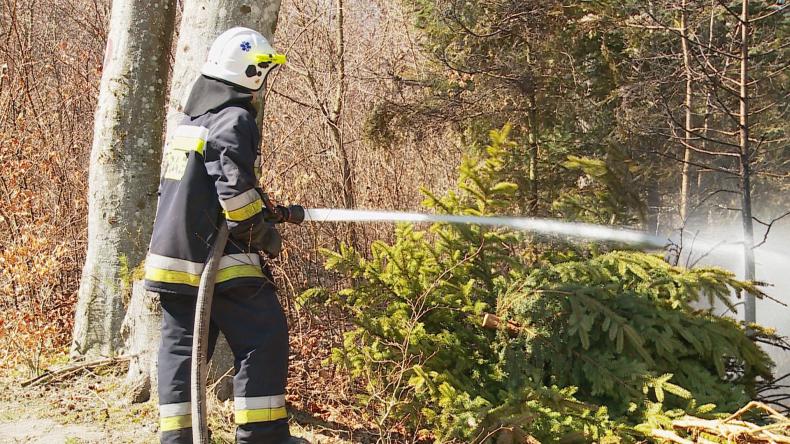 Palił się las nad Jeziorem Choczewskim