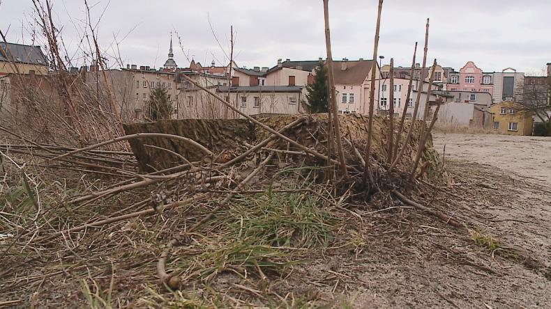 Po roku wycinka trafiła do sądu