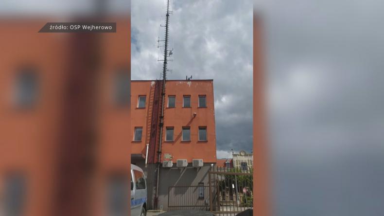Nowa syrena OSP Wejherowo