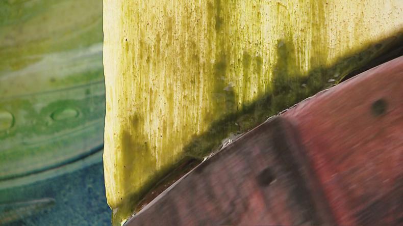 Glony zarosły nową fontannę