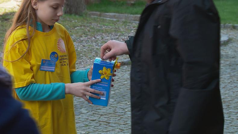 Pola Nadziei znów zakwitły