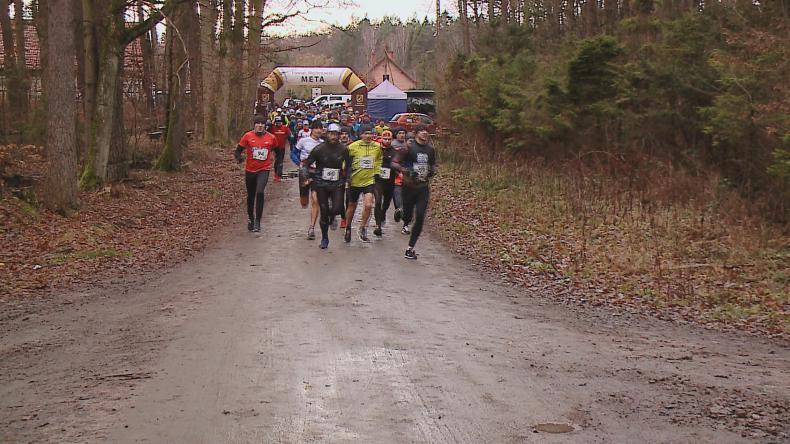 Biegam bo lubię lasy