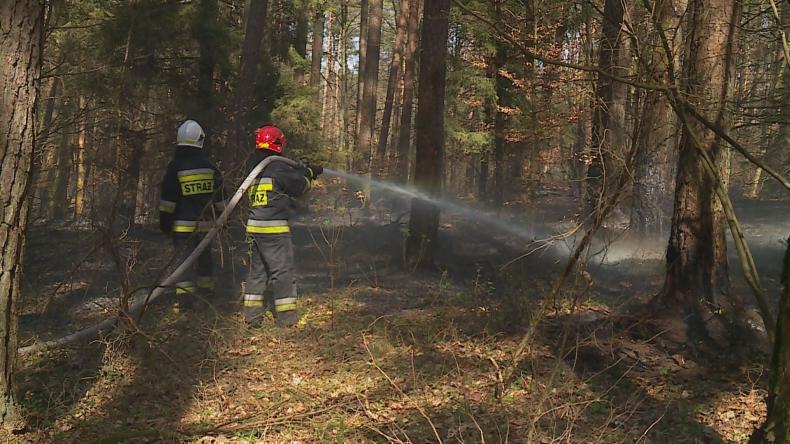 Nadal niebezpiecznie w lasach