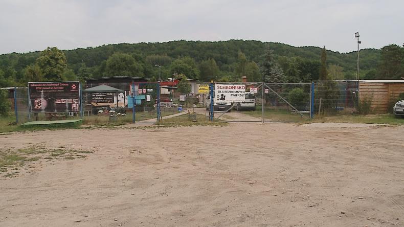 Dni Otwarte Schroniska w Dąbrówce