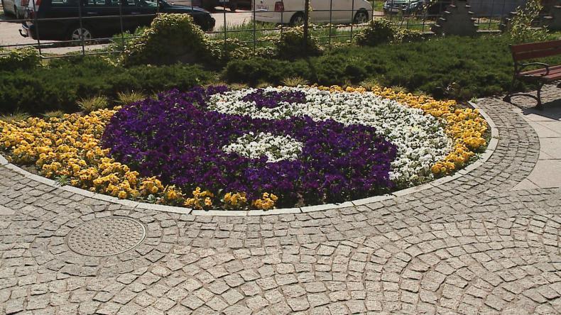 Komu przeszkadzają wejherowskie kwiaty?