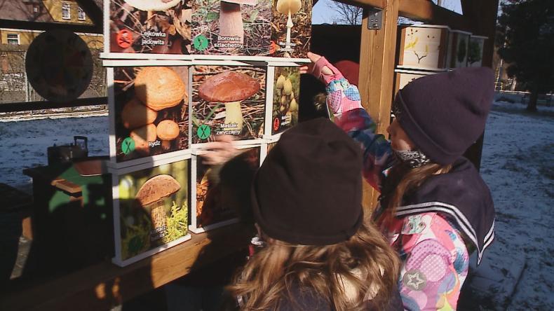 „Zielona Klasa” alternatywą do szkolnych murów