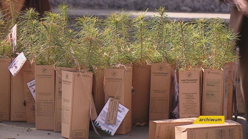 Odbierz drzewko w ramach akcji #sadziMY