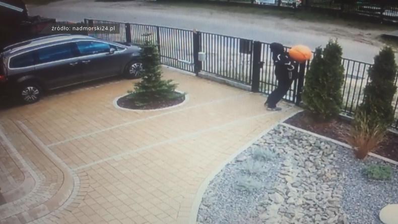 Kradzież dyni jak z komedii