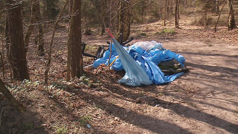 Lasy toną w śmieciach