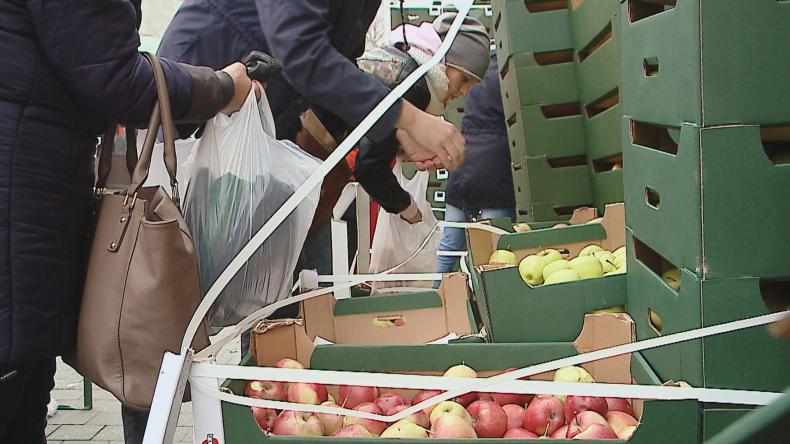 Tony jabłek na puckim rynku