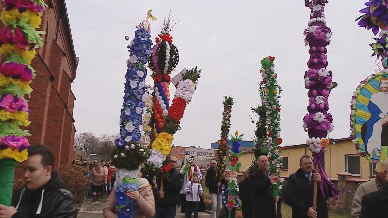 Palmy na bogato - tylko w Gniewinie