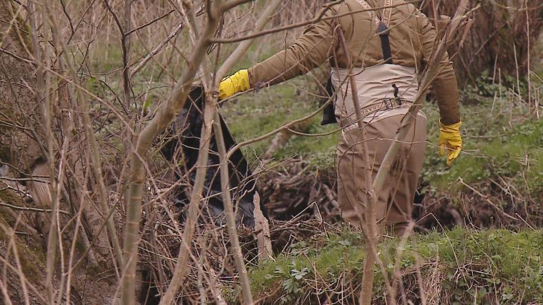 Blisko 200 worków śmieci i straszne znaleziska