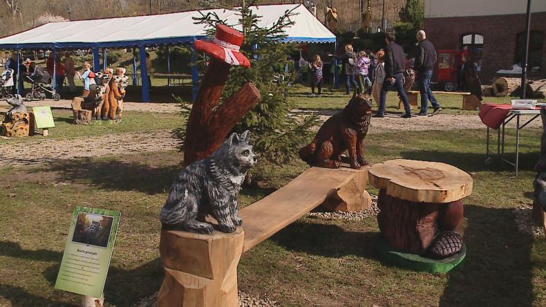 Park Iluzji w Dworku Drzewiarza