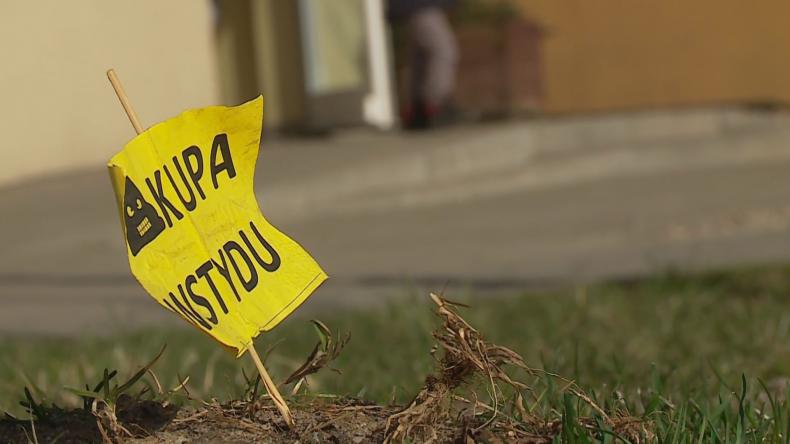 Zostawiają kupy, będą się wstydzić