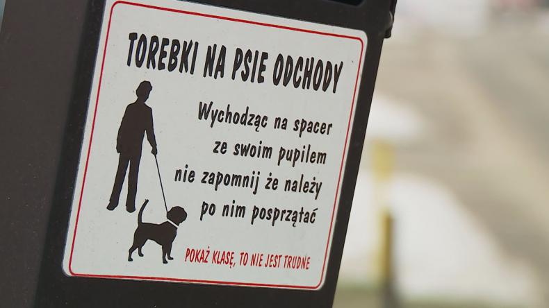 Chodniki usłane psimi odchodami