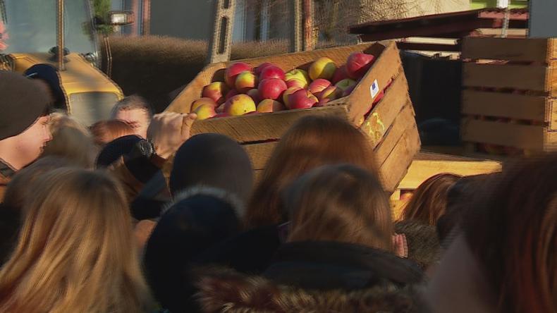 Jabłka jak świeże bułeczki