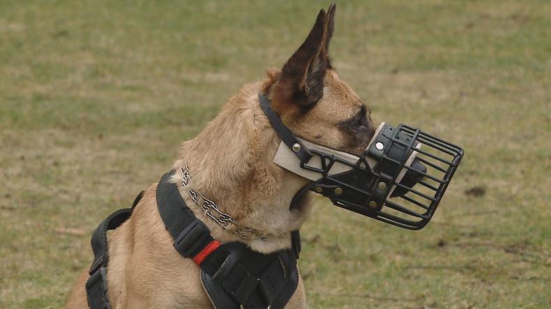 Funkcjonariusz na aport