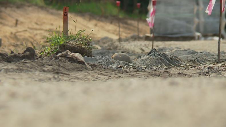 Budują kanalizację za ponad 60 milionów