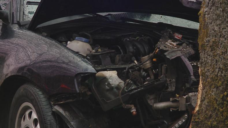 Osobówka uderzyła w drzewo