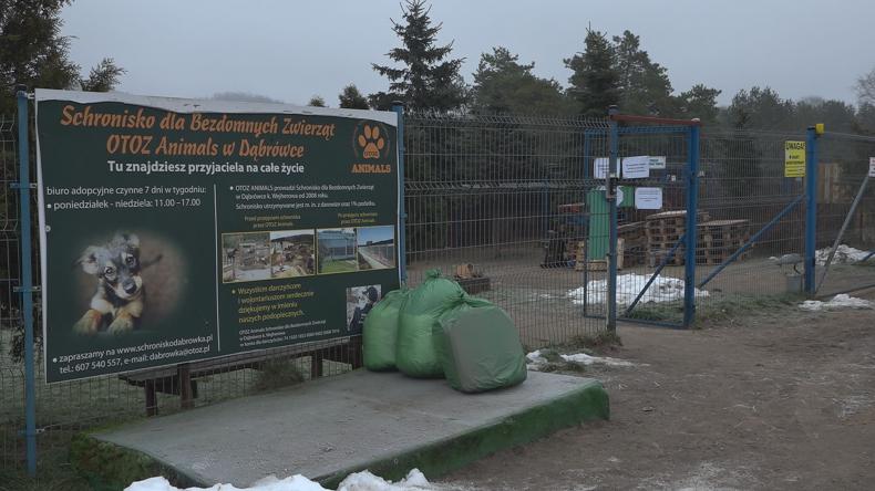 Schronisko podnosi się po pożarze