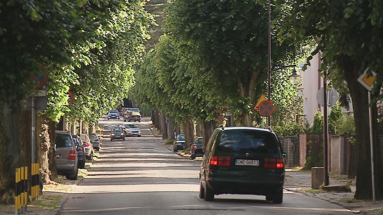 Drzewa na Hallera zostają, mieszkańcy zdecydowali