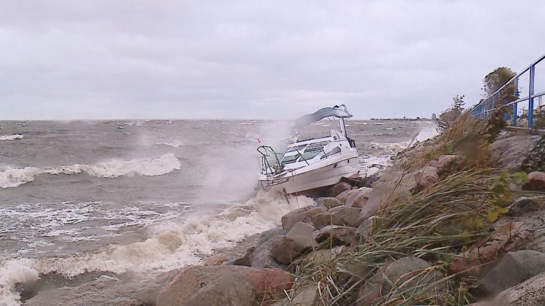 Zerwany dach, przygniecione auta, powalone drzewa