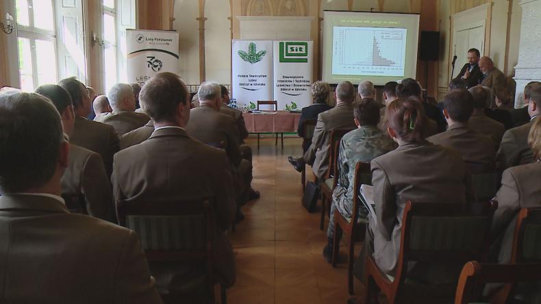 Las czy zwierzęta? Leśnicy szukają równowagi w przyrodzie