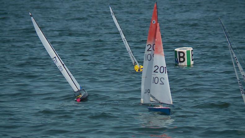 Regaty jachtów sterowanych radiem w Pucku