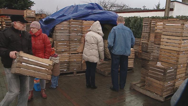 Darmowe jabłka bez zamieszania? Tylko u harcerzy