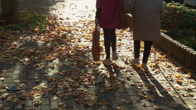 Strażnicy przypominają o obowiązku sprzątania liści z chodnika