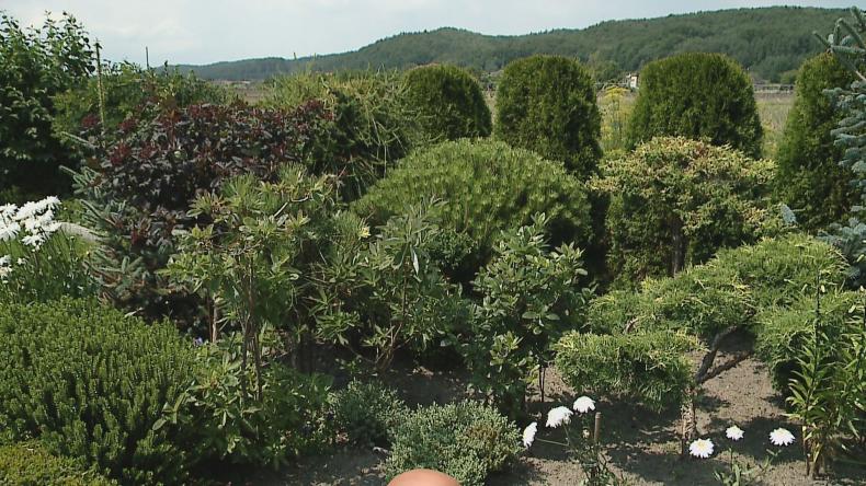 Redzki Wersal, czyli najpiękniejsze ogrody w mieście