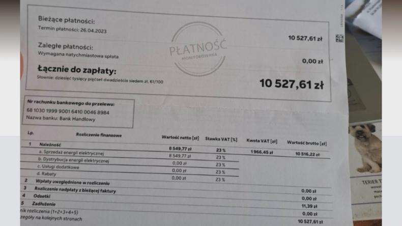 Darczyńcy pomogli schronisku w Dąbrówce