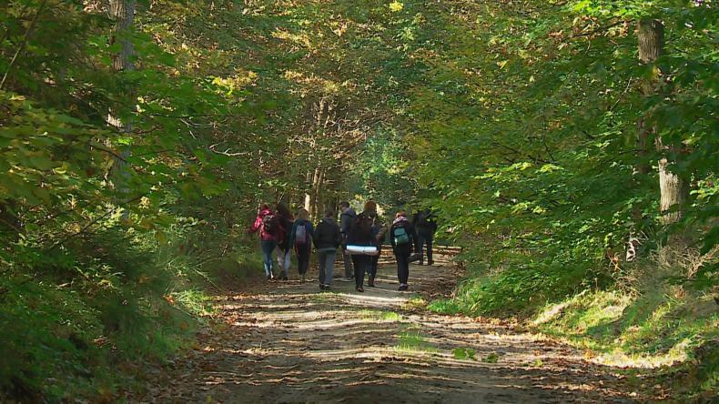 Kąpiele leśne lekarstwem na stres i nie tylko
