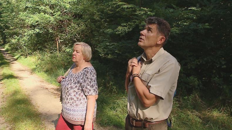 Spacerowali z leśnikiem i poznawali las