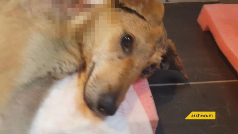 Jest akt oskarżenia ws. skatowania Odiego