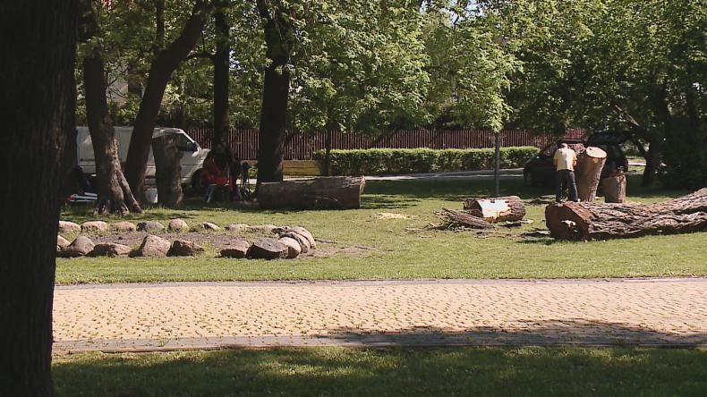 Nowe zwierzęta „zamieszkają” w Rumi