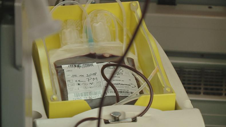 Krwista niedziela w Luzinie – w szczytnym celu