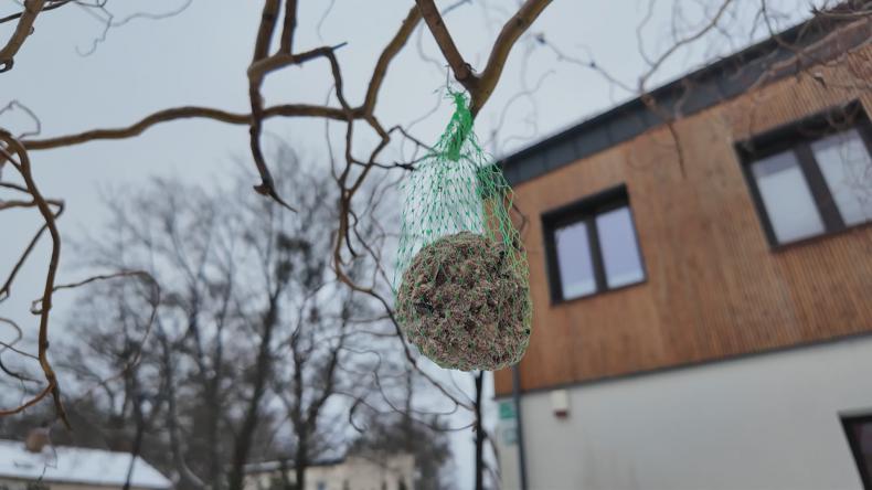 Zima nie straszna dzikim zwierzętom