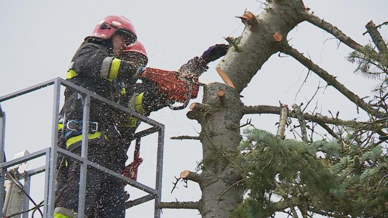 Jodła zagrażała bezpieczeństwu pieszych